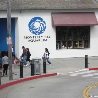 Monterey. - Westküste, Logo, Bay Aquarium, Werbeschrift, Monterey - (New Monterey, Monterey, California, Vereinigte Staaten)