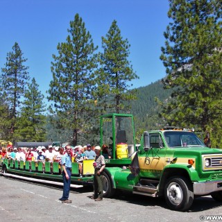 Yosemite National Park. - Yosemite Nationalpark, Yosemite Valley Floor Tour - (Foresta, Yosemite National Park, California, Vereinigte Staaten)