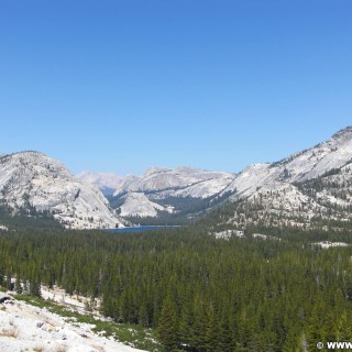 Yosemite National Park. - See, Yosemite Nationalpark, Aussichtspunkt, Tioga Pass, Gebirgssee, Tenaya Lake - (Curry Village, Yosemite National Park, California, Vereinigte Staaten)