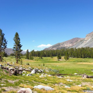 Yosemite National Park. - Landschaft, Panorama, Yosemite Nationalpark, Aussichtspunkt, Tioga Pass, Dana Meadows - (Lee Vining, Yosemite National Park, California, Vereinigte Staaten)