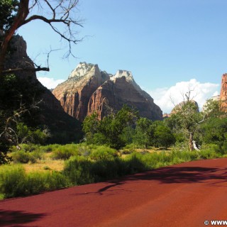 Zion National Park. - Landschaft, Berg, Sandstein, Sandsteinformationen, Zion National Park, Mount Majestic, Angels Landing - (Zion Lodge, Hurricane, Utah, Vereinigte Staaten)