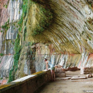 Zion National Park. Weeping Rock - Zion National Park. - Sandstein, Zion National Park, Weeping Rock - LUTZER Sandra - (Zion Lodge, Virgin, Utah, Vereinigte Staaten)