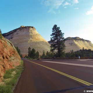 Zion National Park. Checkerboard Mesa - Zion National Park. - Strasse, Landschaft, Berg, Sandstein, Zion National Park, Checkerboard Mesa, Tafelberg - (Zion Lodge, Mount Carmel, Utah, Vereinigte Staaten)