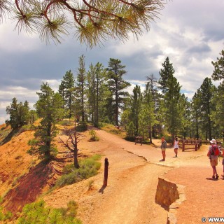 Bryce Canyon National Park. Sunrise Point - Bryce Canyon National Park. - Landschaft, Sandstein, Sandsteinformationen, Bryce Canyon National Park, Sunrise Point - (Bryce Canyon, Utah, Vereinigte Staaten)