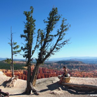 Bryce Canyon National Park. Inspiration Point - Bryce Canyon National Park. - Landschaft, Felsen, Baum, Aussichtspunkt, Personen, Sandstein, Sandsteinformationen, Bryce Canyon National Park, Hoodoos, Felsnadeln, Inspiration Point - LUTZER Sandra - (Bryce Canyon, Utah, Vereinigte Staaten)