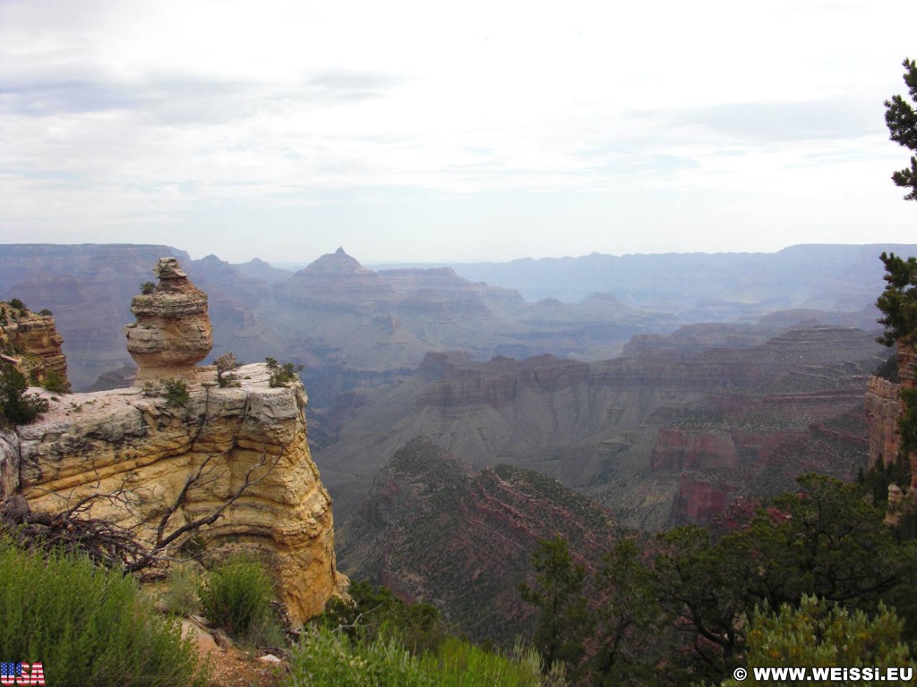 Grand Canyon National Park. Duck on a Rock - Grand Canyon National Park. - East Rim, Grand Canyon, National Park, East Rim Drive, Duck on a Rock - (Tusayan, Grand Canyon, Arizona, Vereinigte Staaten)