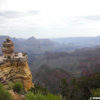 Grand Canyon National Park. Duck on a Rock - Grand Canyon National Park. - East Rim, Grand Canyon, National Park, East Rim Drive, Duck on a Rock - (Tusayan, Grand Canyon, Arizona, Vereinigte Staaten)