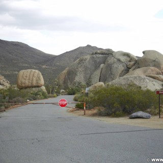 Joshua Tree National Park. Belle Camping - Joshua Tree National Park. - Schild, Tafel, Campingplatz, National Park, Joshua Tree National Park, Belle Campground - (Joshua Tree National Park, Twentynine Palms, California, Vereinigte Staaten)