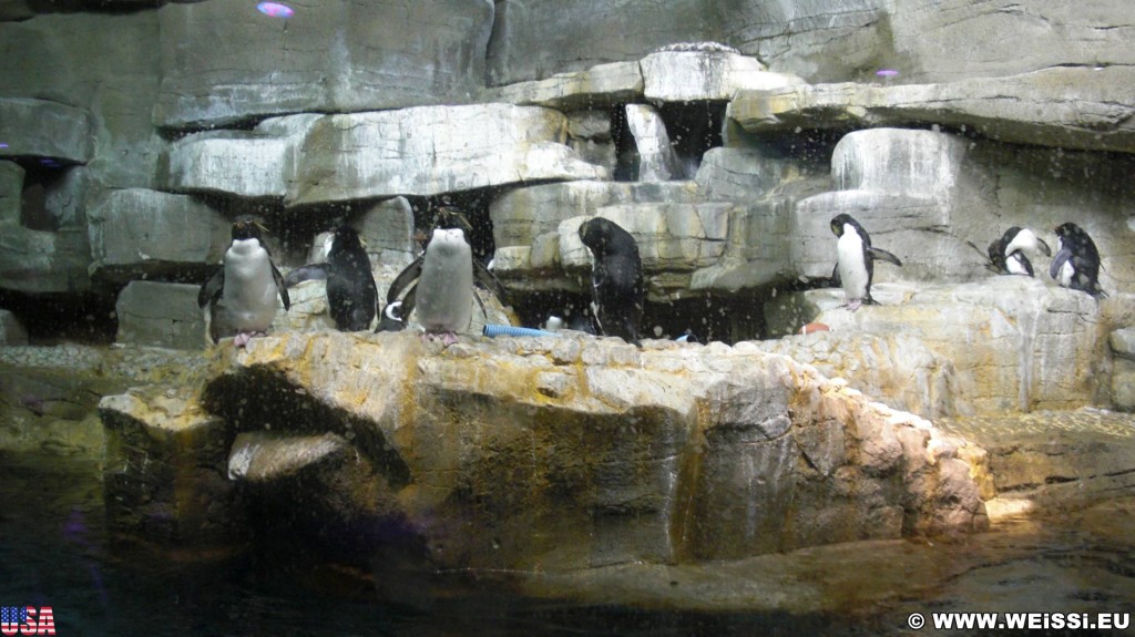 Shedd Aquarium. - Central Station, Shedd Aquarium - (Central Station, Chicago, Illinois, Vereinigte Staaten)