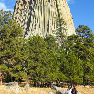 Devils Tower National Monument. - Sehenswürdigkeit, Bäume, Berg, Monolith, Devils Tower, Devils Tower National Monument, Wyoming, Attraktion, Teufelsturm, Vulkangestein - (Devils Tower, Wyoming, Vereinigte Staaten)