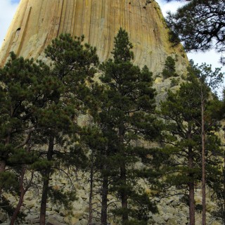 Devils Tower National Monument. Tower Trail - Devils Tower National Monument. - Sehenswürdigkeit, Bäume, Berg, Monolith, Bank, Devils Tower, Devils Tower National Monument, Wyoming, Attraktion, Teufelsturm, Vulkangestein, Tower Trail - (Devils Tower, Wyoming, Vereinigte Staaten)