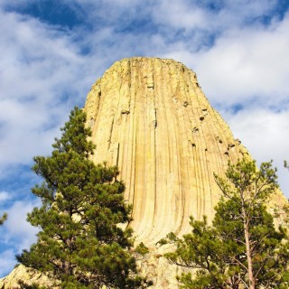 Devils Tower National Monument. Tower Trail - Devils Tower National Monument. - Sehenswürdigkeit, Bäume, Berg, Monolith, Devils Tower, Devils Tower National Monument, Wyoming, Attraktion, Teufelsturm, Vulkangestein, Tower Trail - (Devils Tower, Wyoming, Vereinigte Staaten)