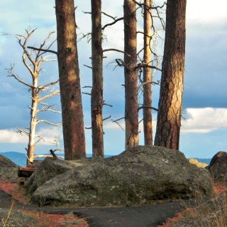 Devils Tower National Monument. Tower Trail - Devils Tower National Monument. - Sehenswürdigkeit, Berg, Monolith, Attraktion, Teufelsturm, Tower Trail - (Devils Tower, Wyoming, Vereinigte Staaten)