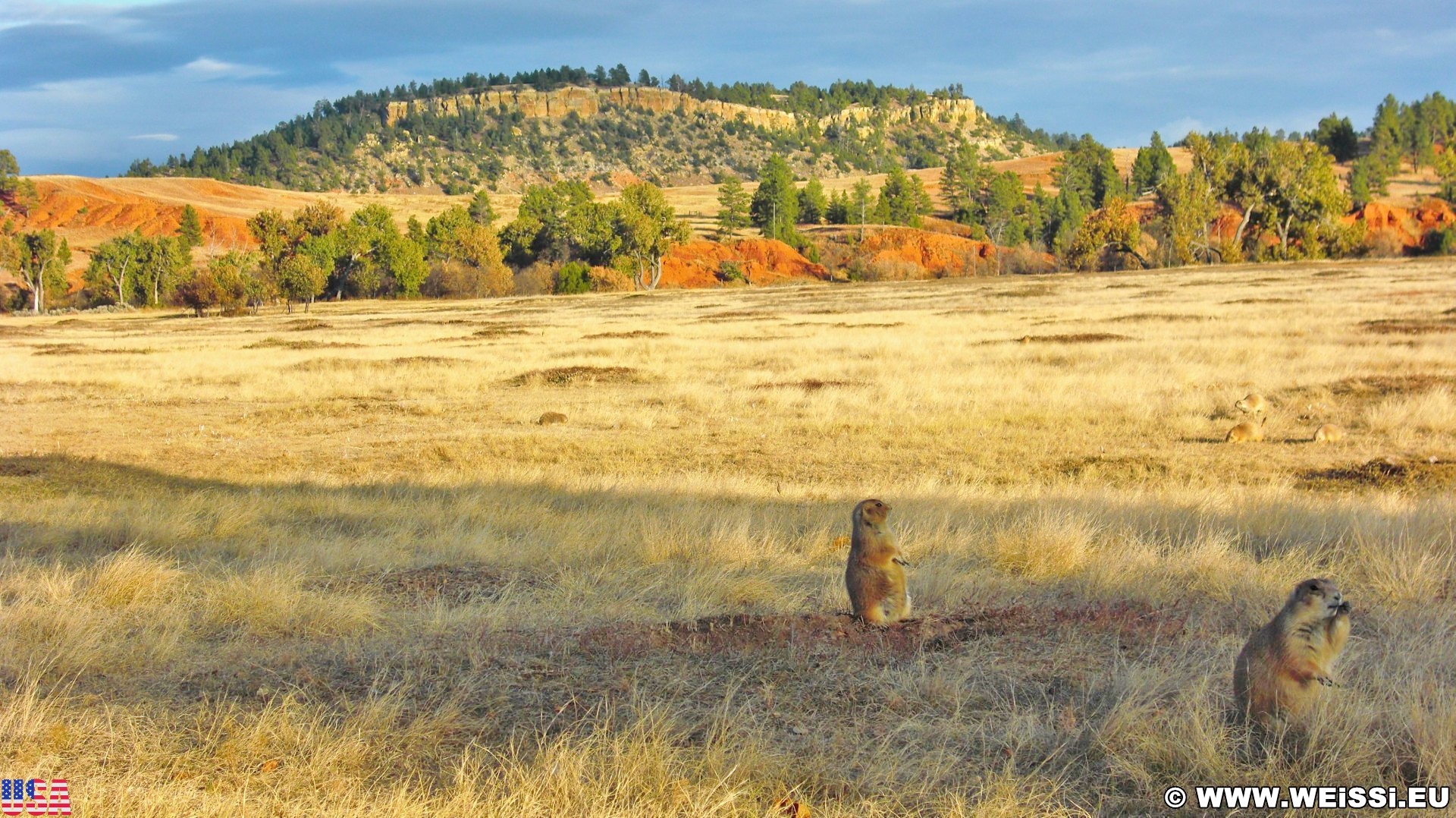 prairie-dog-town-weissi-s-home