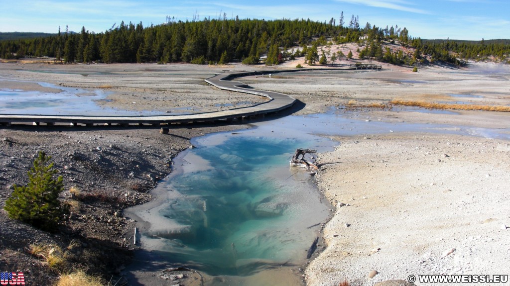 Yellowstone-Nationalpark. Porcelain Basin - Norris Geyser Basin - Yellowstone-Nationalpark. - Norris Geyser Basin, Porcelain Basin - (Canyon Junction, Yellowstone National Park, Wyoming, Vereinigte Staaten)