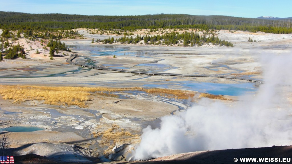 Yellowstone-Nationalpark. Porcelain Basin - Norris Geyser Basin - Yellowstone-Nationalpark. - Norris Geyser Basin, Porcelain Basin - (Canyon Junction, Yellowstone National Park, Wyoming, Vereinigte Staaten)