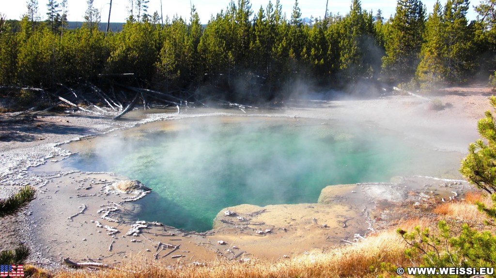 Yellowstone-Nationalpark. Emerald Spring, Norris Geyser Basin - Yellowstone-Nationalpark. - Norris Geyser Basin, Emerald Spring - (Canyon Junction, Yellowstone National Park, Wyoming, Vereinigte Staaten)