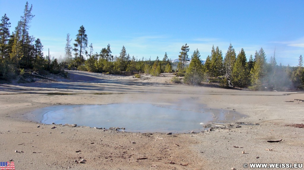 Yellowstone-Nationalpark. Yellow Mud Pool, Back Basin - Norris Geyser Basin - Yellowstone-Nationalpark. - Norris Geyser Basin, Back Basin, Yellow Mud Pool - (Canyon Junction, Yellowstone National Park, Wyoming, Vereinigte Staaten)