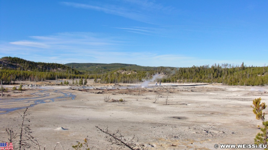 Yellowstone-Nationalpark. Back Basin - Norris Geyser Basin - Yellowstone-Nationalpark. - Norris Geyser Basin, Back Basin - (Canyon Junction, Yellowstone National Park, Wyoming, Vereinigte Staaten)