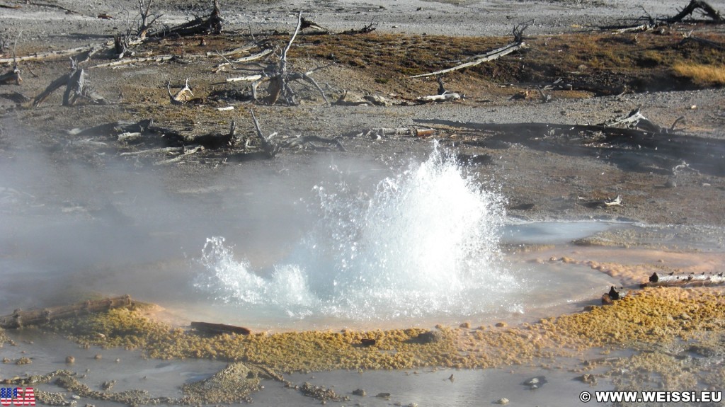 Yellowstone-Nationalpark. Back Basin - Norris Geyser Basin - Yellowstone-Nationalpark. - Norris Geyser Basin, Back Basin - (Canyon Junction, Yellowstone National Park, Wyoming, Vereinigte Staaten)