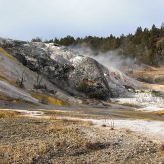 Devils Thumb und Palette Spring - Mammoth Hot Springs - Yellowstone-Nationalpark. - Lower Terraces, Mammoth Hot Springs, Devils Thumb, Palette Spring - (Mammoth, Yellowstone National Park, Wyoming, Vereinigte Staaten)