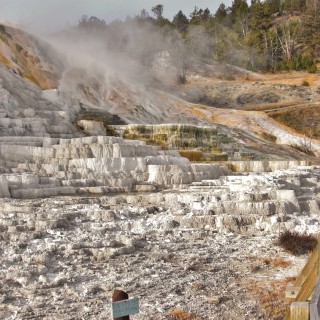 Yellowstone-Nationalpark. Palette Spring, Mammoth Hot Springs - Yellowstone-Nationalpark. - Lower Terraces, Mammoth Hot Springs, Palette Spring - (Mammoth, Yellowstone National Park, Wyoming, Vereinigte Staaten)