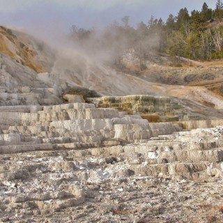 Yellowstone-Nationalpark. Palette Spring, Mammoth Hot Springs - Yellowstone-Nationalpark. - Lower Terraces, Mammoth Hot Springs, Palette Spring, Sinter-Terrassen - (Mammoth, Yellowstone National Park, Wyoming, Vereinigte Staaten)