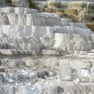 Yellowstone-Nationalpark. Palette Spring, Mammoth Hot Springs - Yellowstone-Nationalpark. - Lower Terraces, Mammoth Hot Springs, Palette Spring, Sinter-Terrassen - (Mammoth, Yellowstone National Park, Wyoming, Vereinigte Staaten)