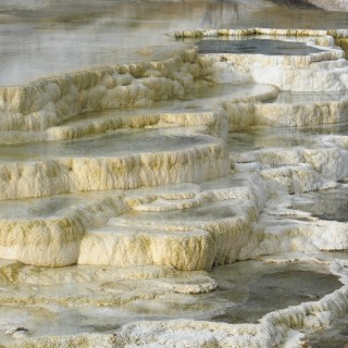 Yellowstone-Nationalpark. Pallete Spring. - Lower Terraces, Mammoth Hot Springs, Palette Spring, Sinter-Terrassen - (Mammoth, Yellowstone National Park, Wyoming, Vereinigte Staaten)