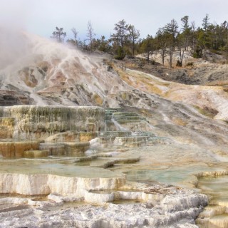 Palette Spring, Mammoth Hot Springs - Yellowstone-Nationalpark. - Lower Terraces, Mammoth Hot Springs, Palette Spring, Sinter-Terrassen - (Mammoth, Yellowstone National Park, Wyoming, Vereinigte Staaten)