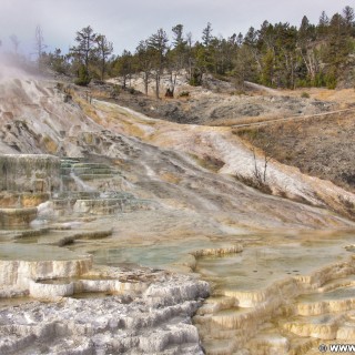 Yellowstone-Nationalpark. Palette Spring, Mammoth Hot Springs - Yellowstone-Nationalpark. - Lower Terraces, Mammoth Hot Springs, Palette Spring, Sinter-Terrassen - (Mammoth, Yellowstone National Park, Wyoming, Vereinigte Staaten)