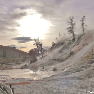 Yellowstone-Nationalpark. Palette Spring, Mammoth Hot Springs - Yellowstone-Nationalpark. - Lower Terraces, Mammoth Hot Springs, Palette Spring, Sinter-Terrassen - (Mammoth, Yellowstone National Park, Wyoming, Vereinigte Staaten)