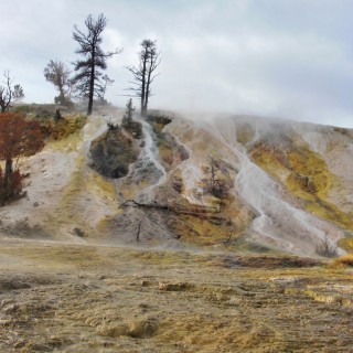 Palette Spring, Mammoth Hot Springs - Yellowstone-Nationalpark. - Lower Terraces, Mammoth Hot Springs, Palette Spring - (Mammoth, Yellowstone National Park, Wyoming, Vereinigte Staaten)