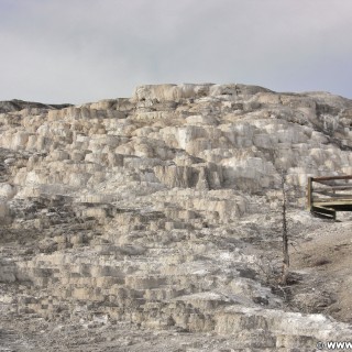 Yellowstone-Nationalpark. Minerva Terrace, Mammoth Hot Springs - Yellowstone-Nationalpark. - Lower Terraces, Mammoth Hot Springs, Minerva Terrace, Sinter-Terrassen - (Mammoth, Yellowstone National Park, Wyoming, Vereinigte Staaten)