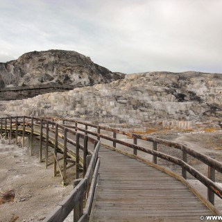 Yellowstone-Nationalpark. Minerva Terrace, Mammoth Hot Springs - Yellowstone-Nationalpark. - Lower Terraces, Mammoth Hot Springs, Minerva Terrace, Sinter-Terrassen - (Mammoth, Yellowstone National Park, Wyoming, Vereinigte Staaten)