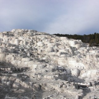 Yellowstone-Nationalpark. Minerva Terrace, Mammoth Hot Springs - Yellowstone-Nationalpark. - Lower Terraces, Mammoth Hot Springs, Minerva Terrace, Sinter-Terrassen - (Mammoth, Yellowstone National Park, Wyoming, Vereinigte Staaten)