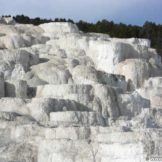 Yellowstone-Nationalpark. Minerva Terrace, Mammoth Hot Springs - Yellowstone-Nationalpark. - Lower Terraces, Mammoth Hot Springs, Minerva Terrace, Sinter-Terrassen - (Mammoth, Yellowstone National Park, Wyoming, Vereinigte Staaten)