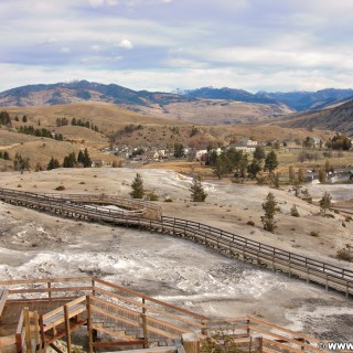 Yellowstone-Nationalpark. Blick auf Mammoth Hot Springs. Aufgenommen am Boardwalk auf Höhe der Minerva Terrace.. - Landschaft, Lower Terraces, Mammoth Hot Springs, Sinter-Terrassen - (Mammoth, Yellowstone National Park, Wyoming, Vereinigte Staaten)