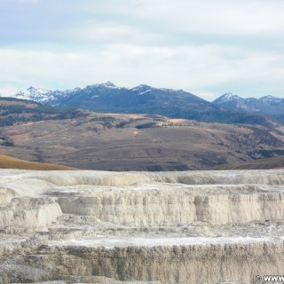 Minerva Terrace, Mammoth Hot Springs - Yellowstone-Nationalpark. Minerva Terrace, Mammoth Hot Springs. - Landschaft, Lower Terraces, Mammoth Hot Springs, Minerva Terrace, Sinter-Terrassen - (Mammoth, Yellowstone National Park, Wyoming, Vereinigte Staaten)