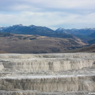 Minerva Terrace, Mammoth Hot Springs - Yellowstone-Nationalpark. Minerva Terrace, Mammoth Hot Springs. - Landschaft, Lower Terraces, Mammoth Hot Springs, Minerva Terrace, Sinter-Terrassen - (Mammoth, Yellowstone National Park, Wyoming, Vereinigte Staaten)