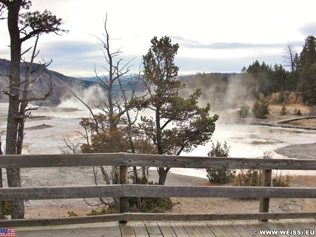 Mammoth Hot Springs - Yellowstone-Nationalpark. - Main Terrace, Mammoth Hot Springs, Sinter-Terrassen - (Mammoth, Yellowstone National Park, Wyoming, Vereinigte Staaten)