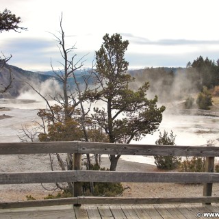 Mammoth Hot Springs - Yellowstone-Nationalpark. - Main Terrace, Mammoth Hot Springs, Sinter-Terrassen - (Mammoth, Yellowstone National Park, Wyoming, Vereinigte Staaten)