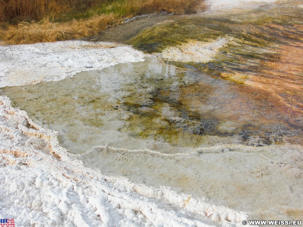 Mammoth Hot Springs - Yellowstone-Nationalpark. - Main Terrace, Mammoth Hot Springs - (Mammoth, Yellowstone National Park, Wyoming, Vereinigte Staaten)