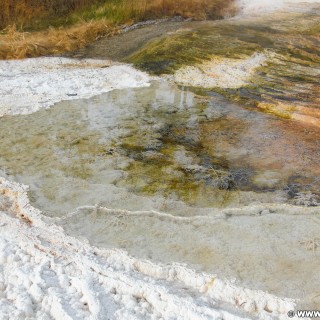 Mammoth Hot Springs - Yellowstone-Nationalpark. - Main Terrace, Mammoth Hot Springs - (Mammoth, Yellowstone National Park, Wyoming, Vereinigte Staaten)