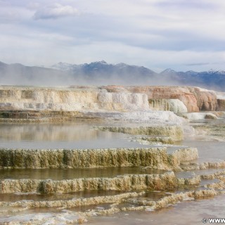 Trail Springs, Mammoth Hot Springs - Yellowstone-Nationalpark. - Main Terrace, Mammoth Hot Springs, Sinter-Terrassen, Trail Springs - (Mammoth, Yellowstone National Park, Wyoming, Vereinigte Staaten)