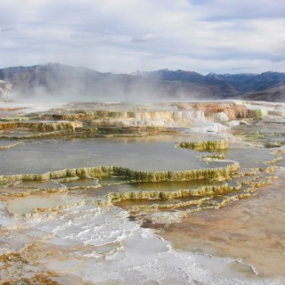 Trail Springs, Mammoth Hot Springs - Yellowstone-Nationalpark. - Main Terrace, Mammoth Hot Springs, Sinter-Terrassen, Trail Springs - (Mammoth, Yellowstone National Park, Wyoming, Vereinigte Staaten)