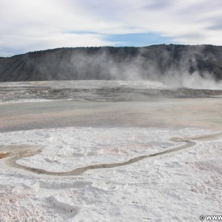 Trail Springs, Mammoth Hot Springs - Yellowstone-Nationalpark. - Main Terrace, Mammoth Hot Springs, Sinter-Terrassen, Trail Springs, Canary Springs - (Mammoth, Yellowstone National Park, Wyoming, Vereinigte Staaten)