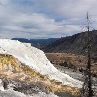 Canary Springs, Mammoth Hot Springs - Yellowstone-Nationalpark. - Main Terrace, Mammoth Hot Springs, Sinter-Terrassen, Canary Springs - (Mammoth, Yellowstone National Park, Wyoming, Vereinigte Staaten)