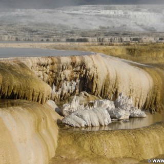 Canary Springs, Mammoth Hot Springs - Yellowstone-Nationalpark. - Main Terrace, Mammoth Hot Springs, Sinter-Terrassen, Canary Springs - (Mammoth, Yellowstone National Park, Wyoming, Vereinigte Staaten)