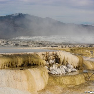 Canary Springs, Mammoth Hot Springs - Yellowstone-Nationalpark. - Main Terrace, Mammoth Hot Springs, Sinter-Terrassen, Canary Springs - (Mammoth, Yellowstone National Park, Wyoming, Vereinigte Staaten)